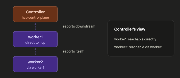 Controller's view: worker 1 reachable directly, worker 2 reachable via worker 1