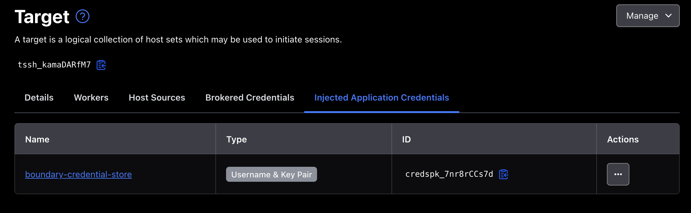 Boundary target with an injected application credential attached